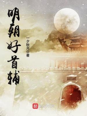 明朝首辅是宰相吗? 明朝首辅是宰相吗?