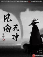 风向今天 风向今天