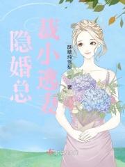 隐婚总裁系列完结 隐婚总裁系列完结