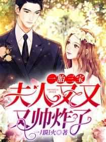 陆少的替嫁宠妻作者