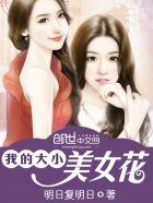 我的大小美女老婆奇书 我的大小美女老婆奇书