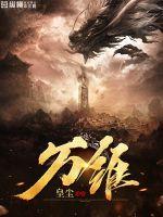 万维半导体跻身国内前三