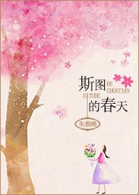 斯图西图 斯图西图