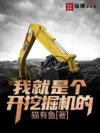 我是一个挖掘机我挖全世界 我是一个挖掘机我挖全世界