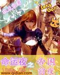 命运之夜前传 命运之夜前传