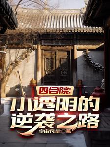 四合院小院 四合院小院