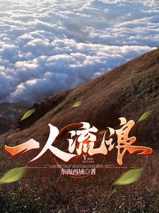 一人流浪在远方是什么歌 一人流浪在远方是什么歌