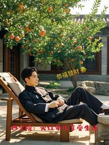 四合院时代 四合院时代