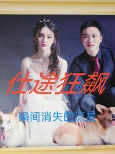 仕途免费全部 仕途免费全部