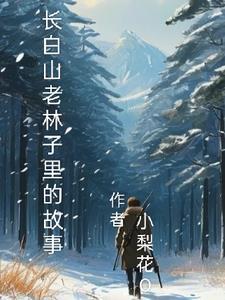 长白山林场 长白山林场