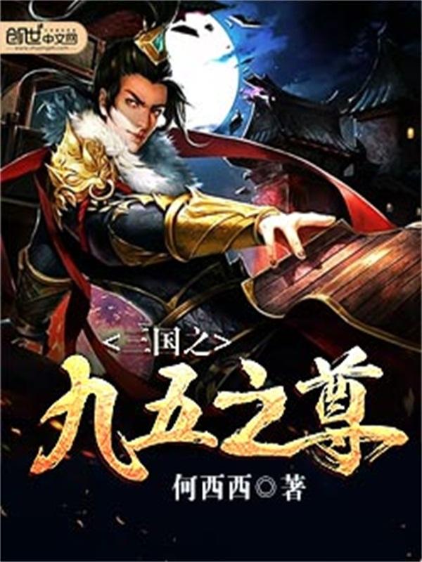三国九五至尊 三国九五至尊