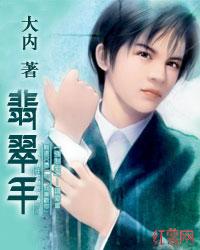 翡翠手镯多少钱 翡翠手镯多少钱