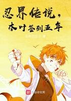 忍界传说 忍界传说