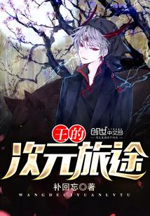 次元王子 次元王子