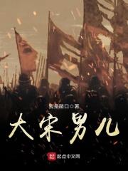 大宋男儿 我是路口 大宋男儿 我是路口