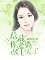 总裁夫人要休夫