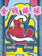 棒球棍金皮 棒球棍金皮