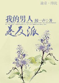 我的男人是反派 我的男人是反派