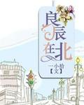 良辰在北 良辰在北