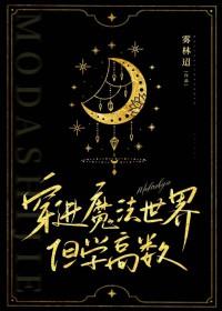 穿进魔法世界,但学高数 穿进魔法世界,但学高数