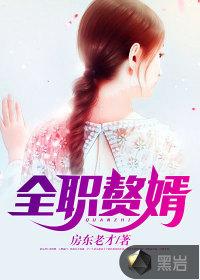 全职赘婿 全职赘婿